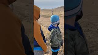 Discovering Cows By The Flobros