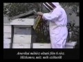 Méhész oktató film 6 rész mézkamra méh szöktető