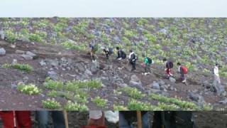 Tsugaru Heiya 津軽平野 Golden Week Holiday Tsugaru Heiya 津軽平野 Golden Week Holiday