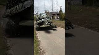 The Thousand-Year-Old Turtle3D Special Effects 3D Animation