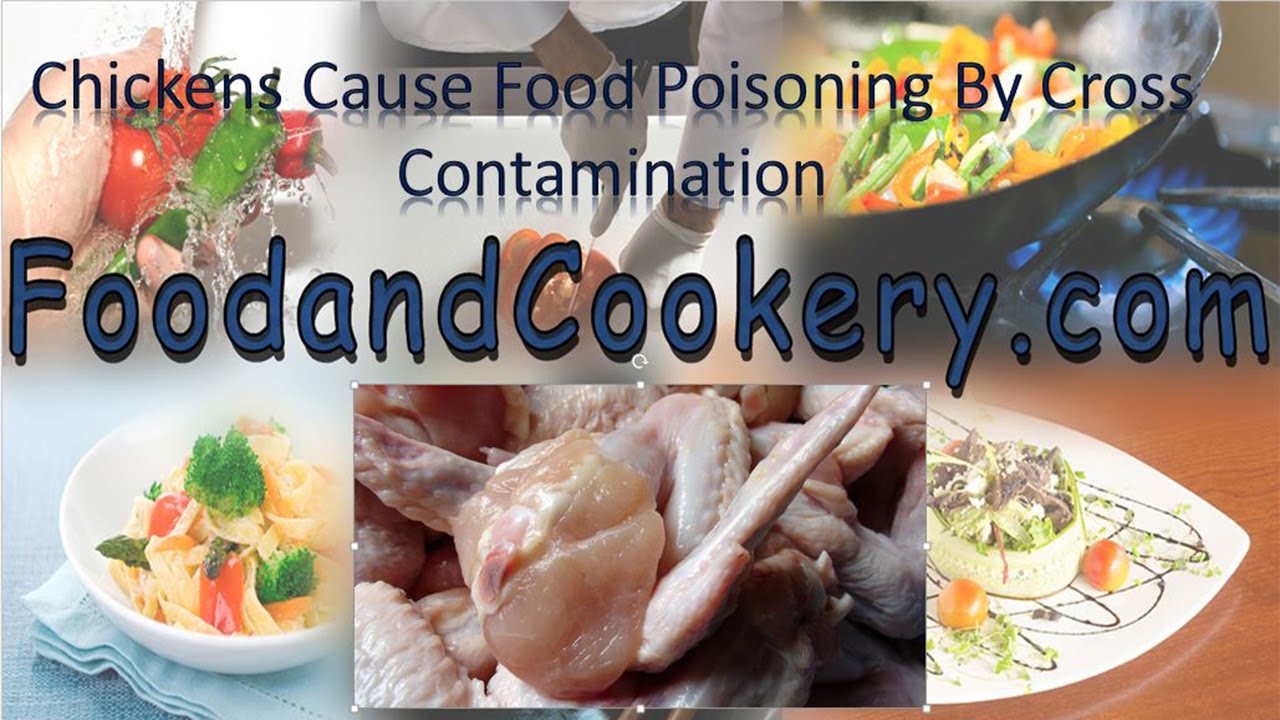 Chickens Cause Food Poisoning By Cross Contamination YouTube