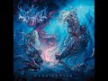Follow The Entrails Video preview