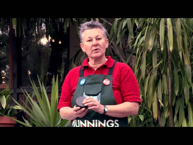 Watch How To Prepare Your Home For A Bushfire - DIY At Bunnings on YouTube.