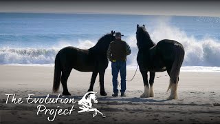S1 E10: DES EMOTIONS ET DES CHEVAUX - Brian Sean Reid & Pierre Beaupère