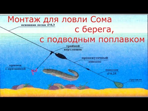 советы для рыбалки на сома советы для рыбалки на сома