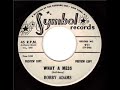 Bobby Adams - What A Mess.wmv