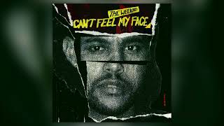 The Weeknd Cant Feel My Face Official Studio Acapella Reversed