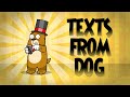 texts