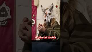 Cat Stretch