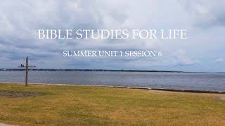 Living With Hope - BIBLE STUDIES FOR LIFE - U1S6