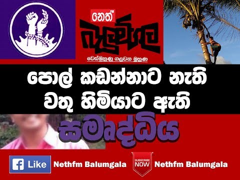 Belumgala 15-08-2017 