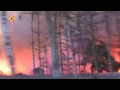 Brand Leenderbos geblust, groot gebied in vlammen opgegaan