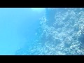 Casio EX-G1 Underwater