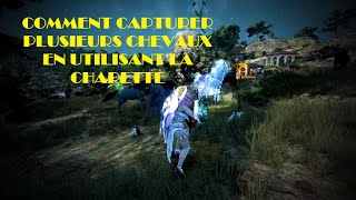 Bdo - Guide - Capturer Plusieurs Chevaux Grâce À Le Wagon