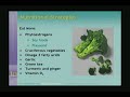 Complementary and Alternative Medicine: Healthy Aging