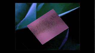 syrra - Hush