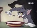 tom and jerry part 5