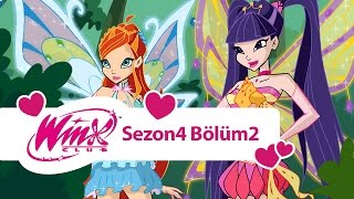 Winx Club - 4. Sezon 2. Bölüm - Hayat Ağacı Tam Bölüm