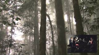 Birds of Paradise multimedia premiere at Cooperstown Summer Music Festival