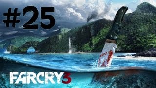 Far Cry 3 - Walkthrough - Part 25 - Citras Favor Pcx360Ps3 Hd