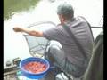 Members from breakingthesurface fishing for carp on Church Gardens.Harwood,Bolton,Lancashire