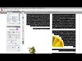 Gujarati indesign