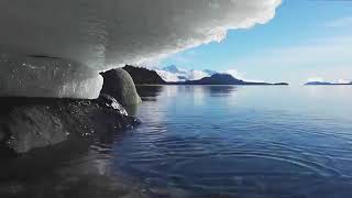 Max Omega 357 Product Video 2019