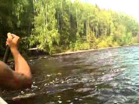 ловля хариуса на уфтюге ловля хариуса на уфтюге