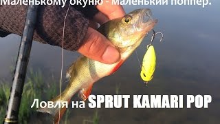 Маленькому окуню — маленький поппер. Ловля на SPRUT KAMARI P