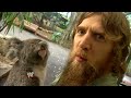 Daniel Bryan Down Under at the Lone Pine Koala Sanctuary