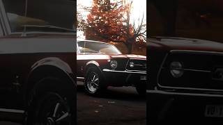 1969 Mustang
