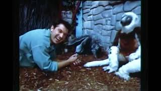 Zoboomafoo Jokes Hippo, Ant & Squirrel