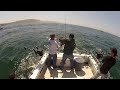 North Cal Sportfishing