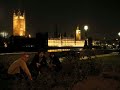 Guerrilla Gardening 'Sunflowers of Parliament' GGTV1