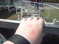 Little Dipper At Sandy Lake Its Kinda Fun Little Dipper At Sandy Lake Its Kinda Fun
