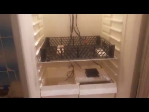Инкубатор для котят своими руками