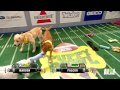 Puppy Bowl XI Ends in a Thrilling Touchdown | Puppy Bowl XI