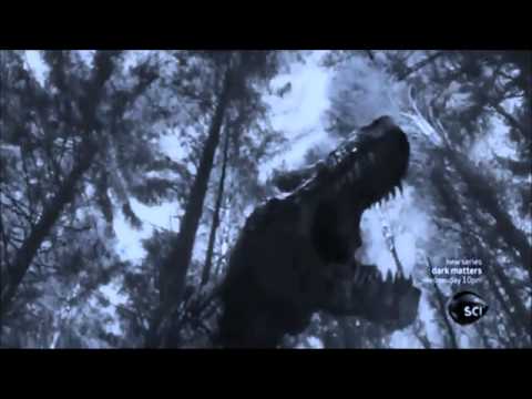 Predator (18) - Don't Stop / Shotdown Predator (18) - Don't Stop / Shotdown