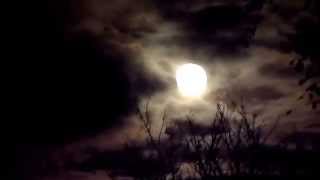 Watch Dar Williams Calling The Moon video
