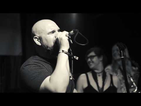 Mighty Vipers - Chasing the Sun (Live at MPF 2019)