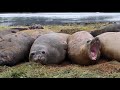 Cruceros Australis - Patagonia "End of the World"
