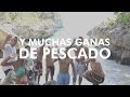 Realengos en La Peñita y Boca Chica