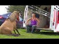 Ranker Video