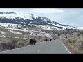 YELLOWSTONE