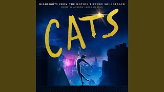 Watch Cats Overture video
