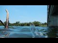 pesca con arpon