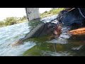 pesca con arpon