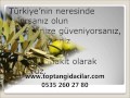 Toptan Zeytin Alanlar, Toptan Zeytin Alımı, Toptan Zeytin Alan Firmalar, Toptan Zeytin - Film Yorum