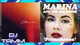 Shawn Mendes feat. Camila Cabello vs. Marina and the Diamonds - Señorita Primado