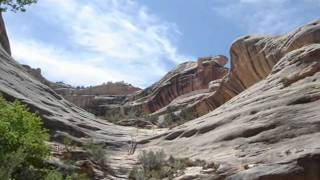 Watch Osmonds Utah video